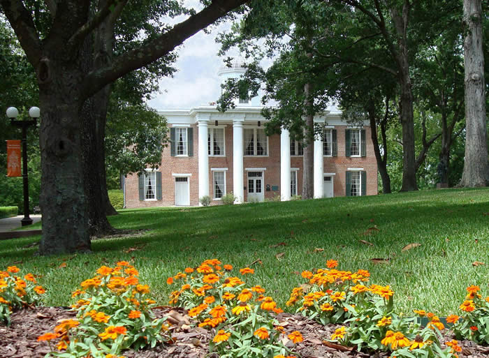 Building and grass shot